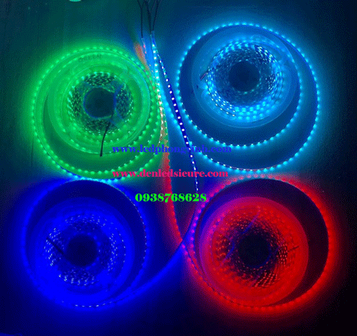 5MM-120 BONG-DO-DUONG-LA