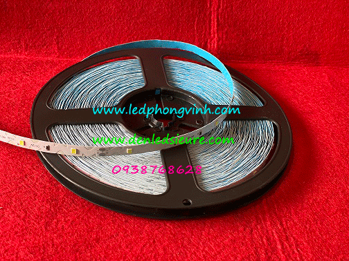 ZZ-20M-TRANG-VANG-WEB