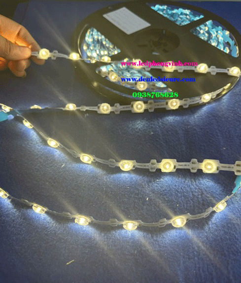 ZZ-LUP-TRANG 12V (10M)