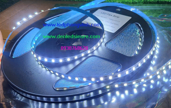 zz-20m-trang-120b-gg