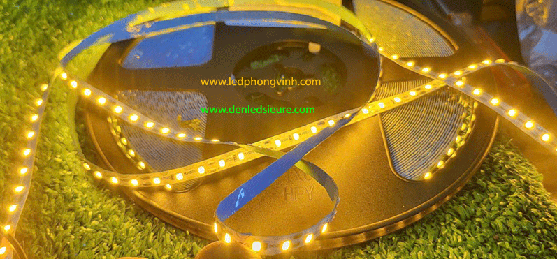 zz-20m-vang-chua-120b-WEB